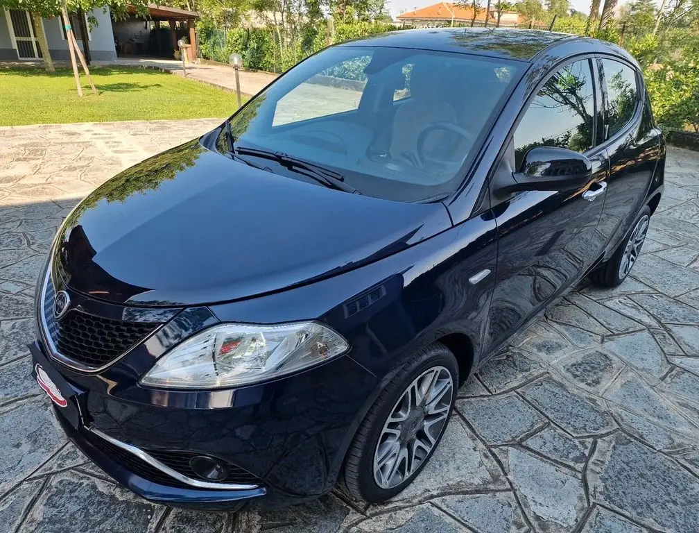 Photo 1 : Lancia Ypsilon 2017 Essence