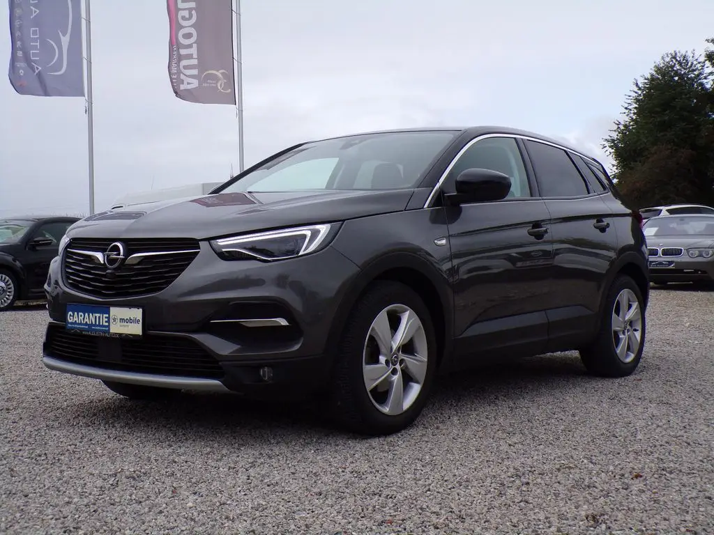 Photo 1 : Opel Grandland 2019 Petrol