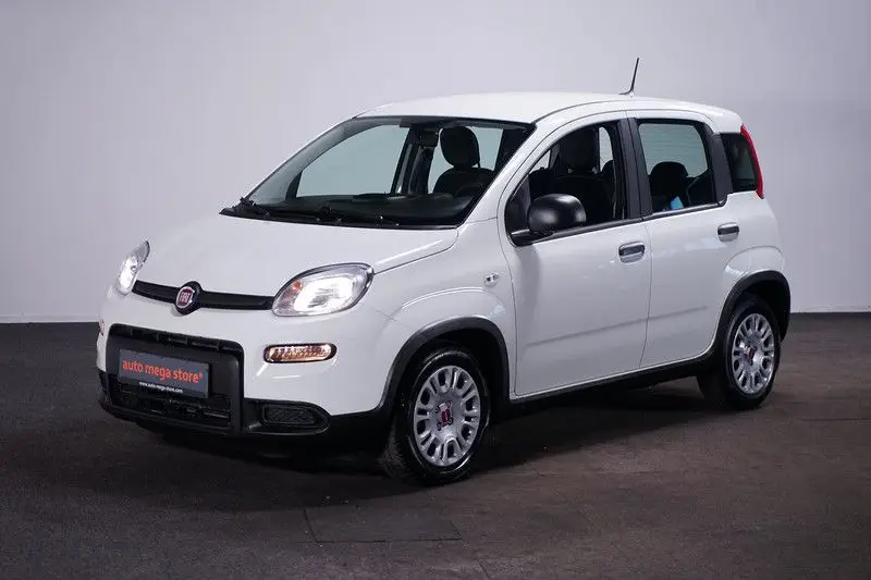 Photo 1 : Fiat Panda 2024 Petrol