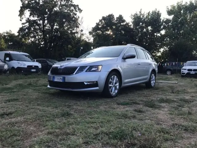 Photo 1 : Skoda Octavia 2019 Diesel