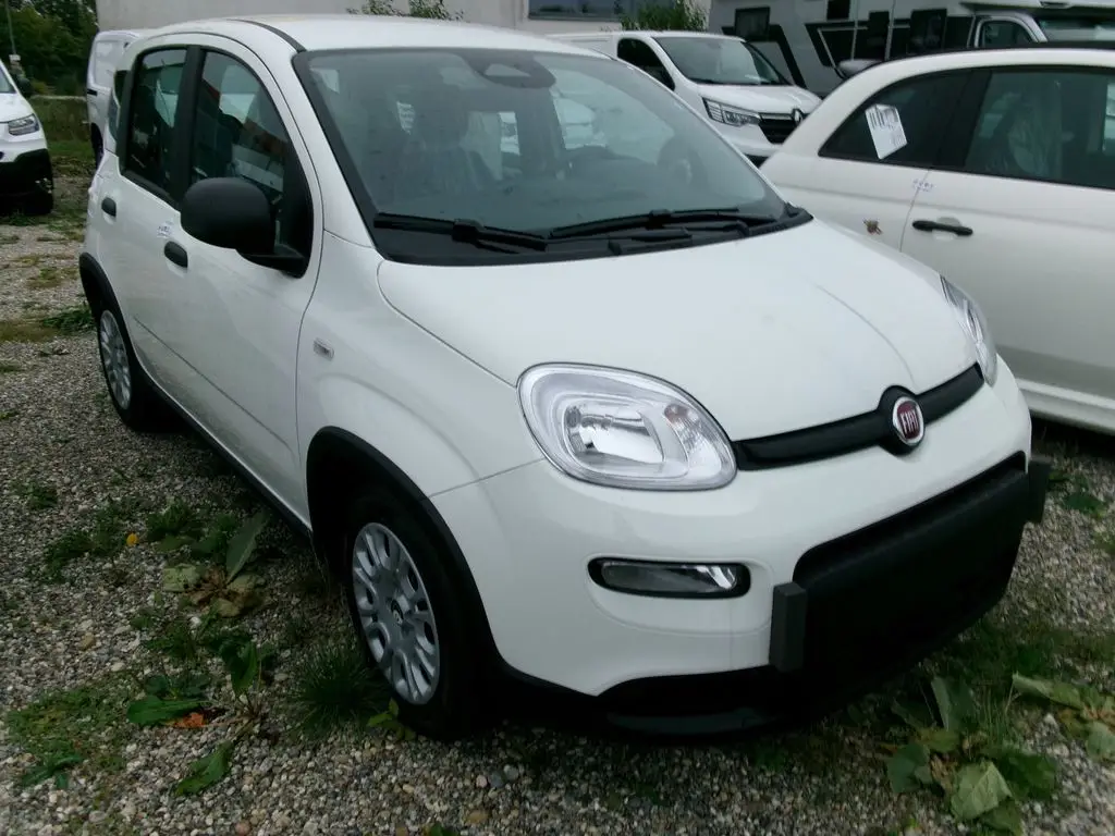 Photo 1 : Fiat Panda 2024 Petrol