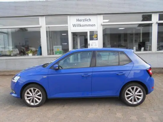 Photo 1 : Skoda Fabia 2019 Petrol