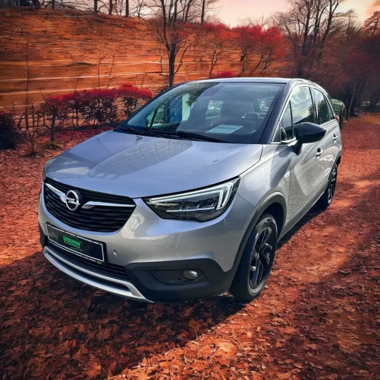 Photo 1 : Opel Crossland 2019 Petrol