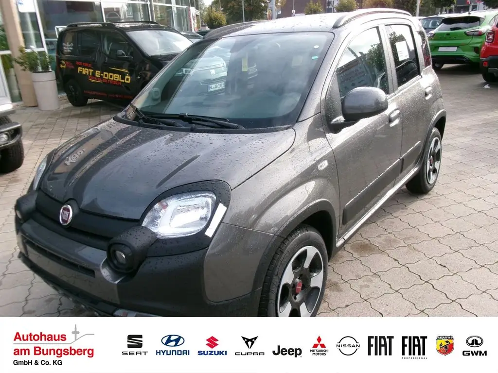 Photo 1 : Fiat Panda 2024 Petrol