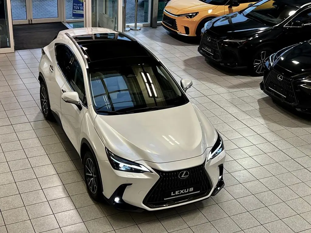 Photo 1 : Lexus Nx 2024 Hybrid