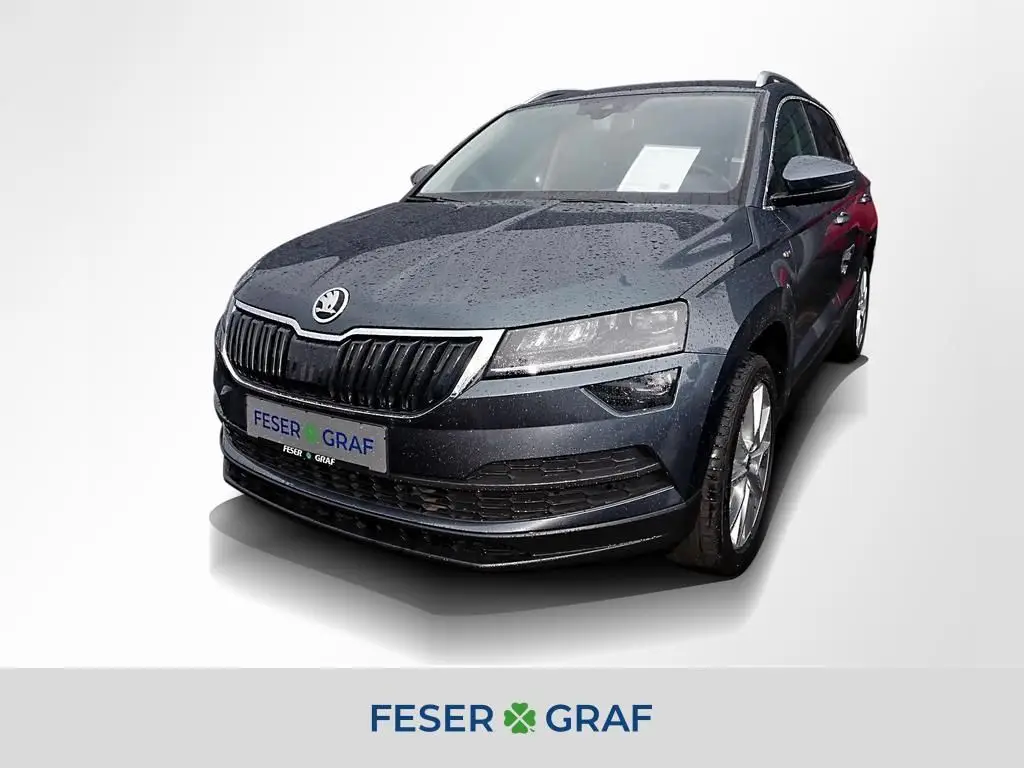 Photo 1 : Skoda Karoq 2019 Petrol