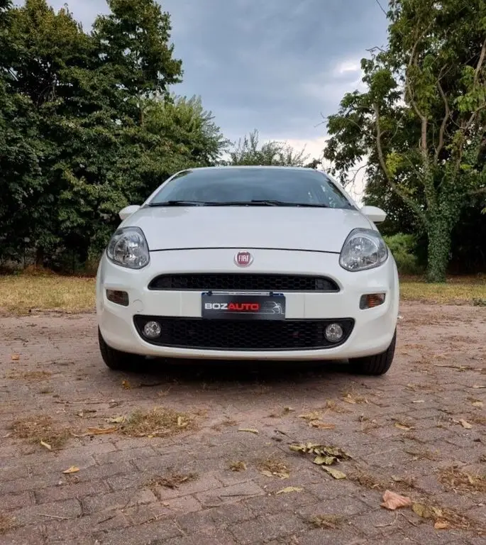 Photo 1 : Fiat Punto 2018 GPL