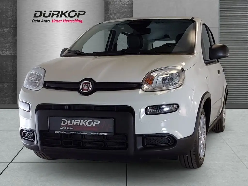 Photo 1 : Fiat Panda 2024 Essence