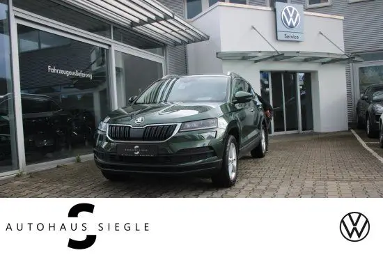 Photo 1 : Skoda Karoq 2019 Petrol