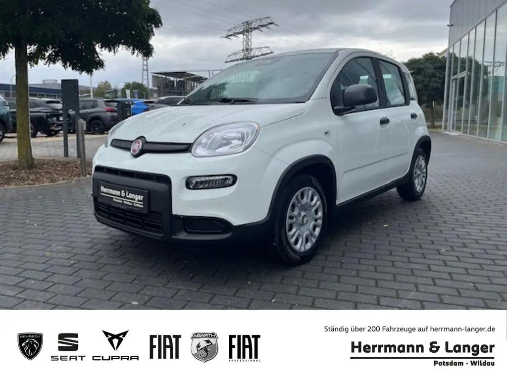 Photo 1 : Fiat Panda 2024 Essence