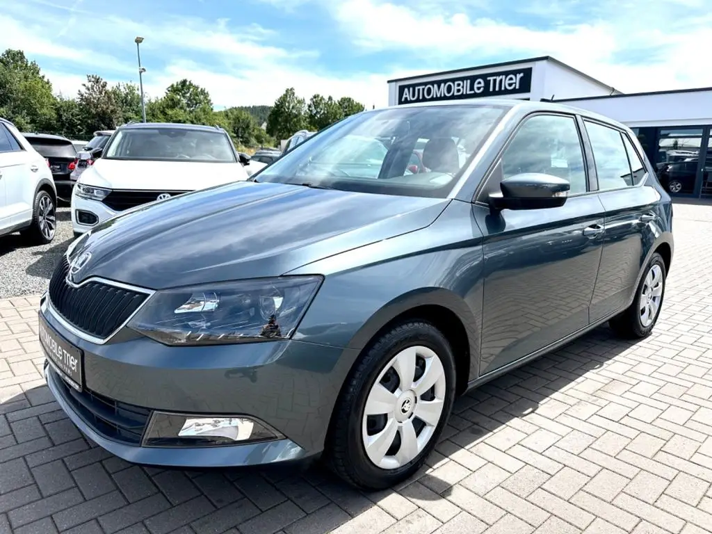 Photo 1 : Skoda Fabia 2015 Petrol