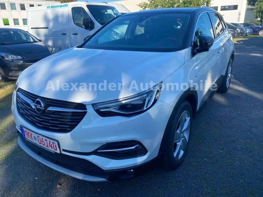 Photo 1 : Opel Grandland 2019 Petrol