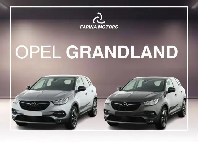 Photo 1 : Opel Grandland 2019 Diesel