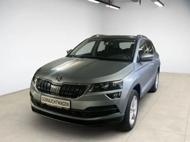 Photo 1 : Skoda Karoq 2020 Petrol