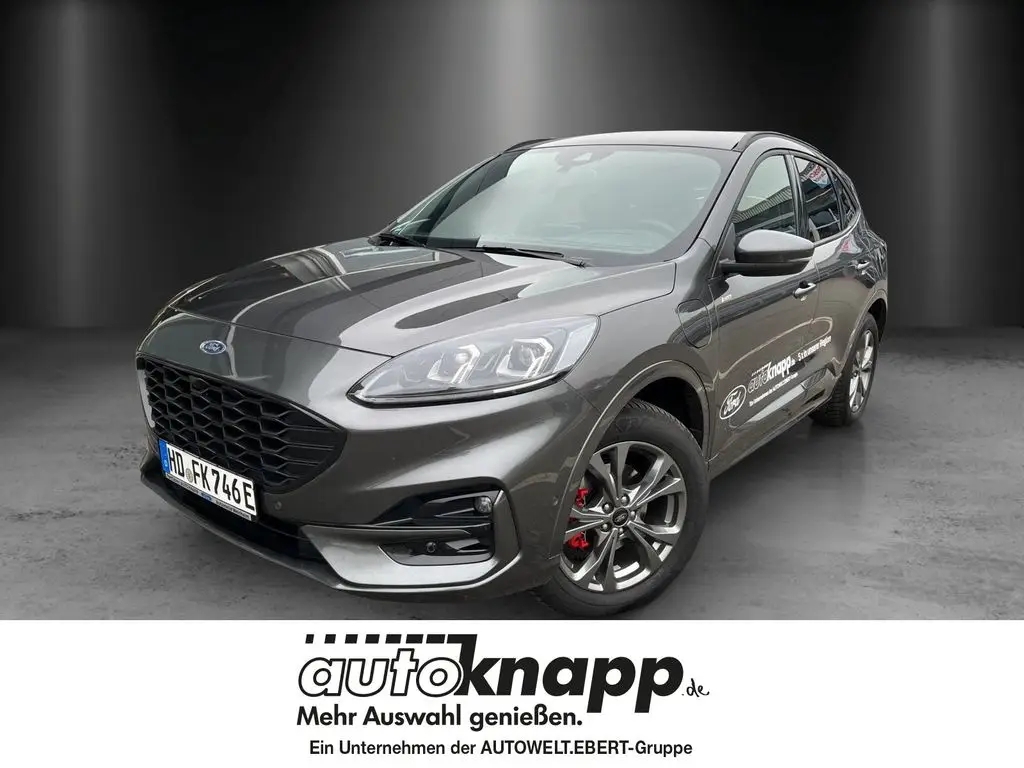 Photo 1 : Ford Kuga 2024 Hybride