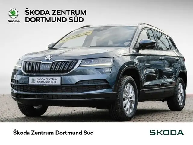 Photo 1 : Skoda Karoq 2019 Petrol