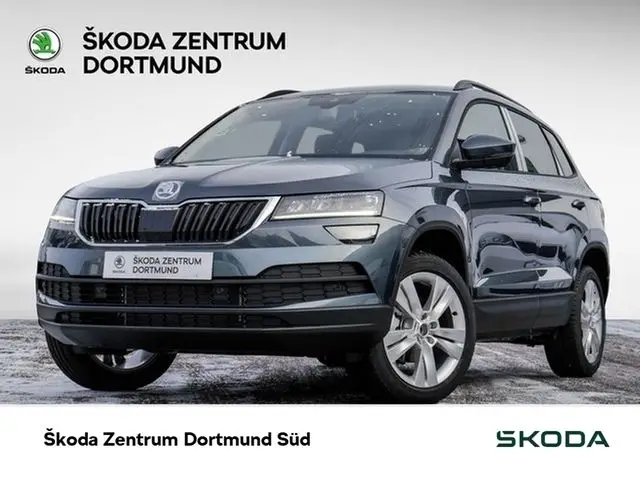 Photo 1 : Skoda Karoq 2019 Essence