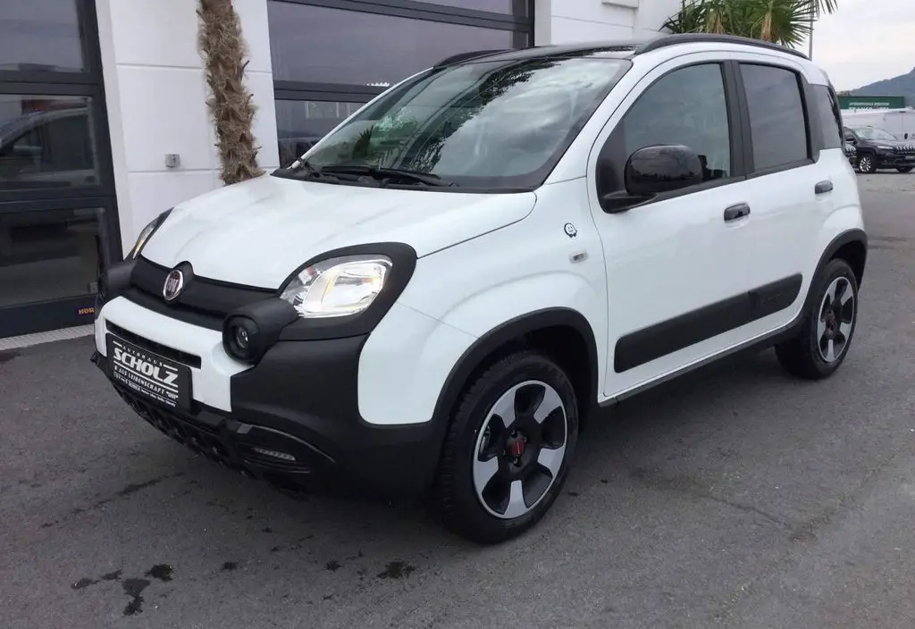 Photo 1 : Fiat Panda 2020 Petrol