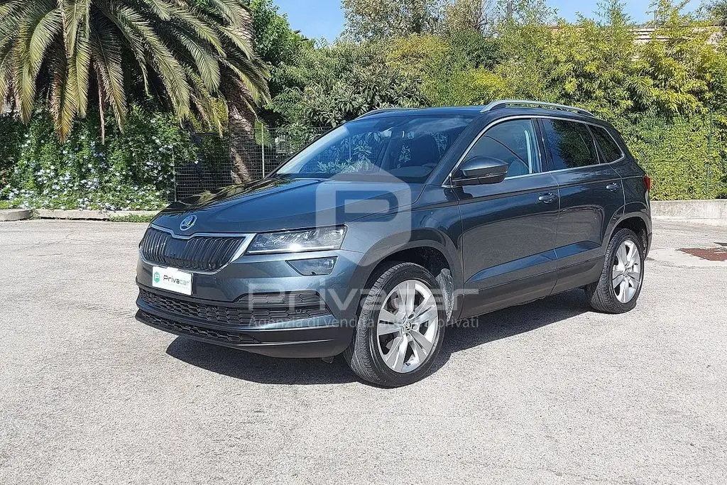 Photo 1 : Skoda Karoq 2019 Diesel