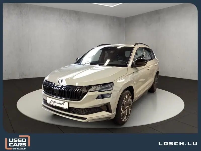 Photo 1 : Skoda Karoq 2023 Diesel