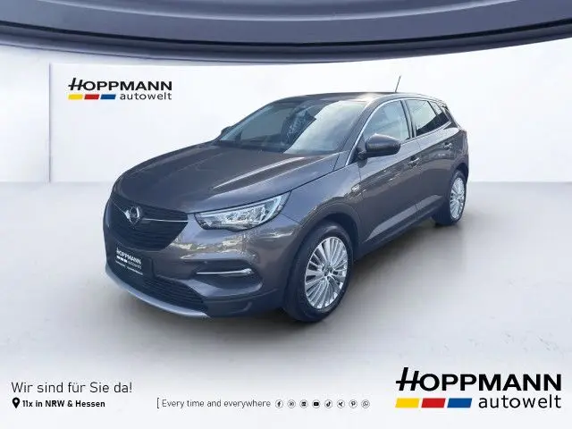 Photo 1 : Opel Grandland 2020 Petrol