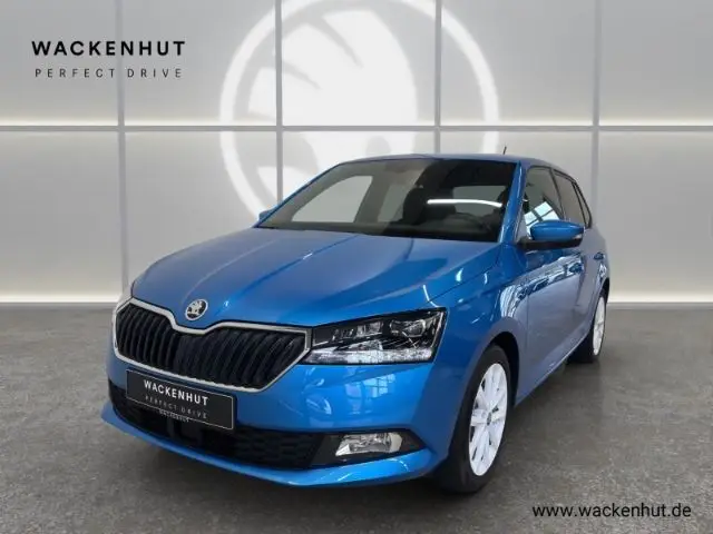 Photo 1 : Skoda Fabia 2020 Essence