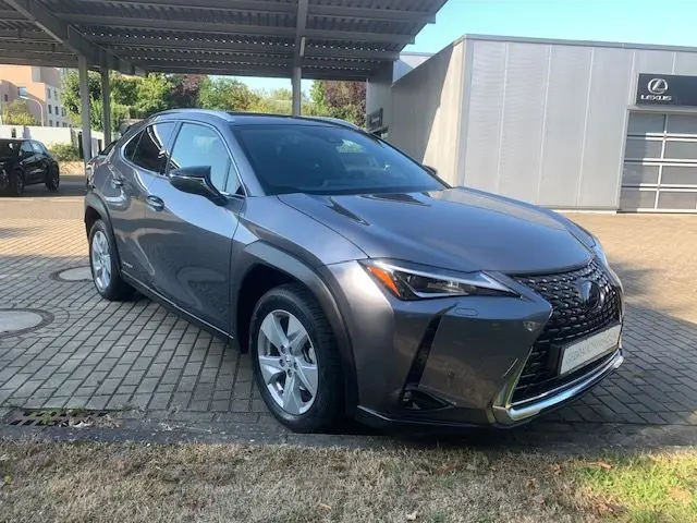 Photo 1 : Lexus Ux 2020 Petrol