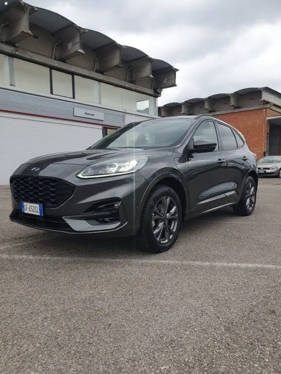 Photo 1 : Ford Kuga 2021 Hybride