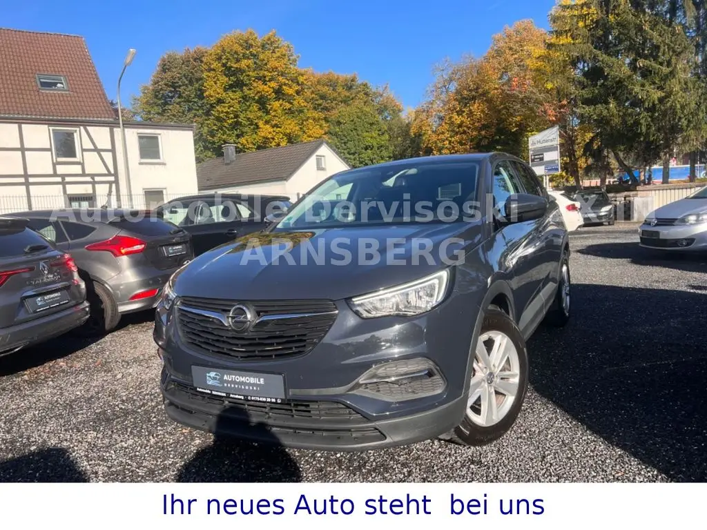 Photo 1 : Opel Grandland 2019 Petrol