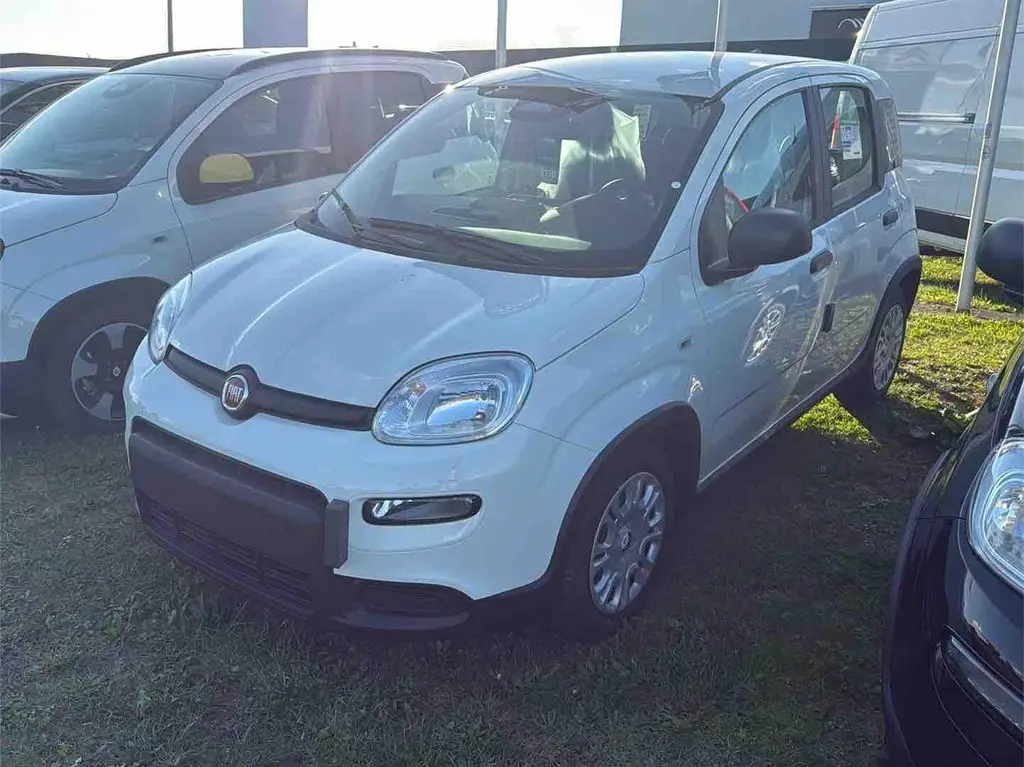 Photo 1 : Fiat Panda 2024 Petrol