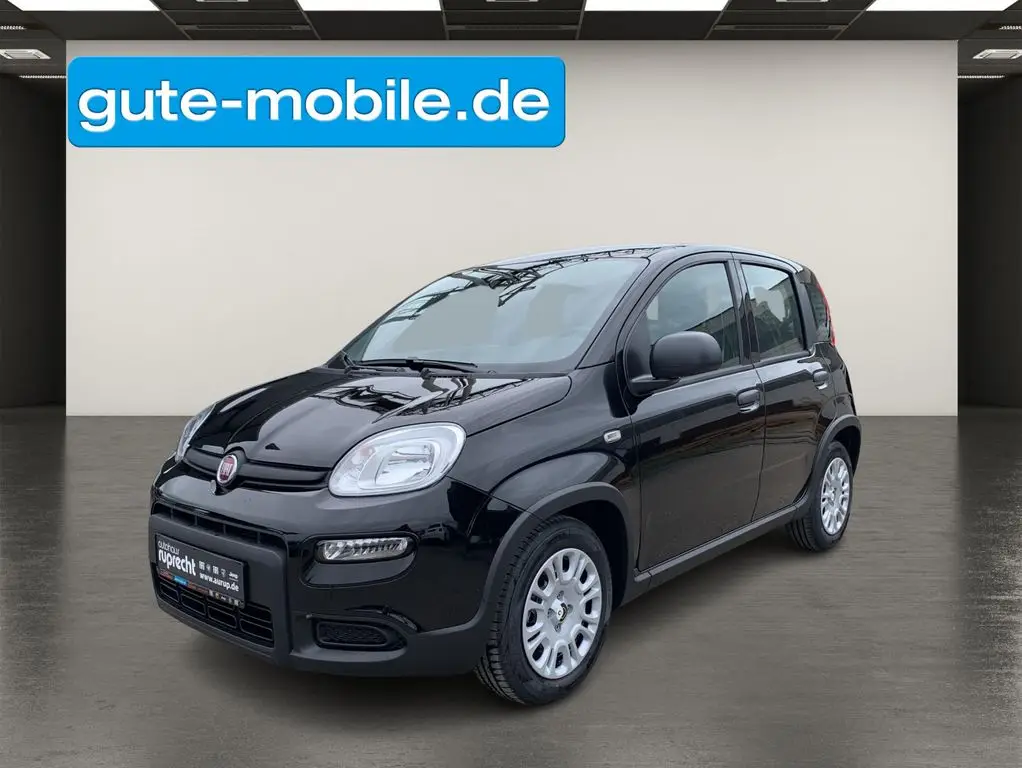 Photo 1 : Fiat Panda 2024 Petrol