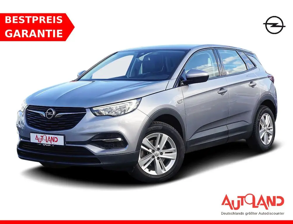 Photo 1 : Opel Grandland 2020 Petrol