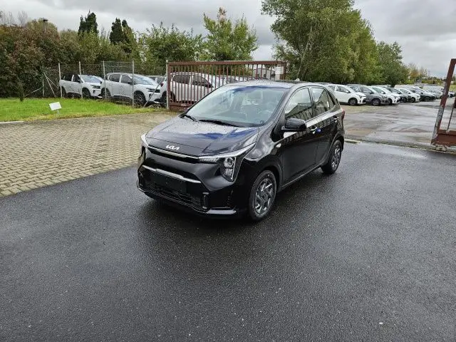 Photo 1 : Kia Picanto 2024 Petrol