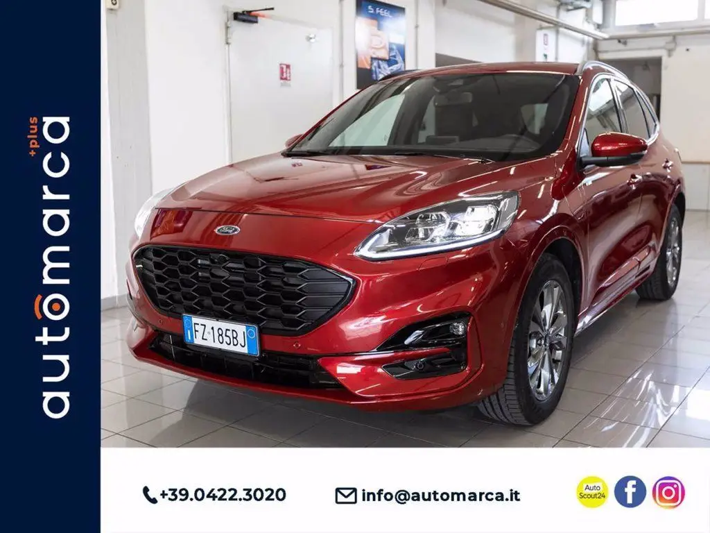 Photo 1 : Ford Kuga 2020 Essence