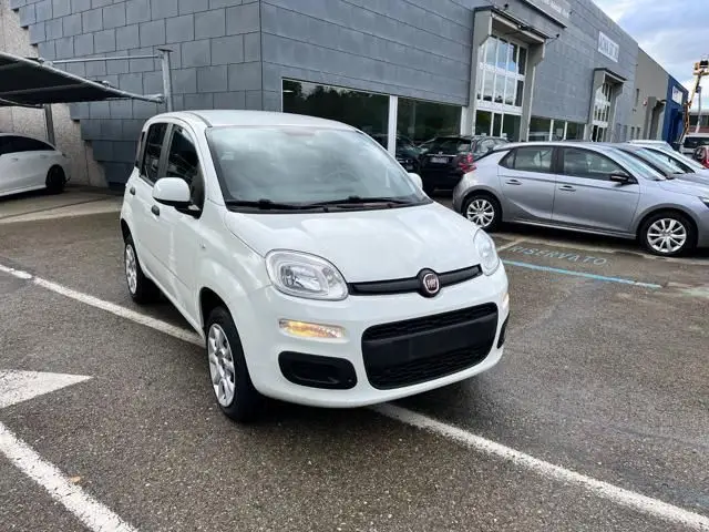 Photo 1 : Fiat Panda 2019 Autres