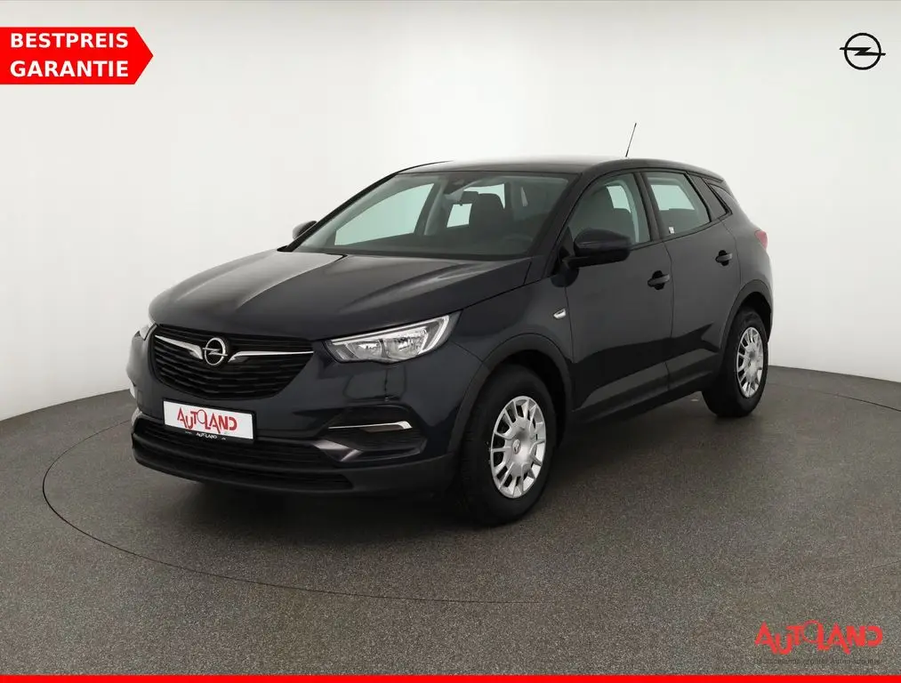 Photo 1 : Opel Grandland 2019 Petrol