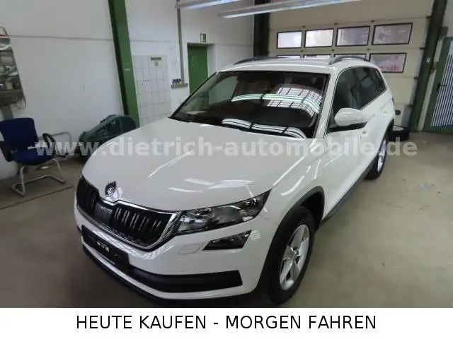 Photo 1 : Skoda Kodiaq 2019 Diesel