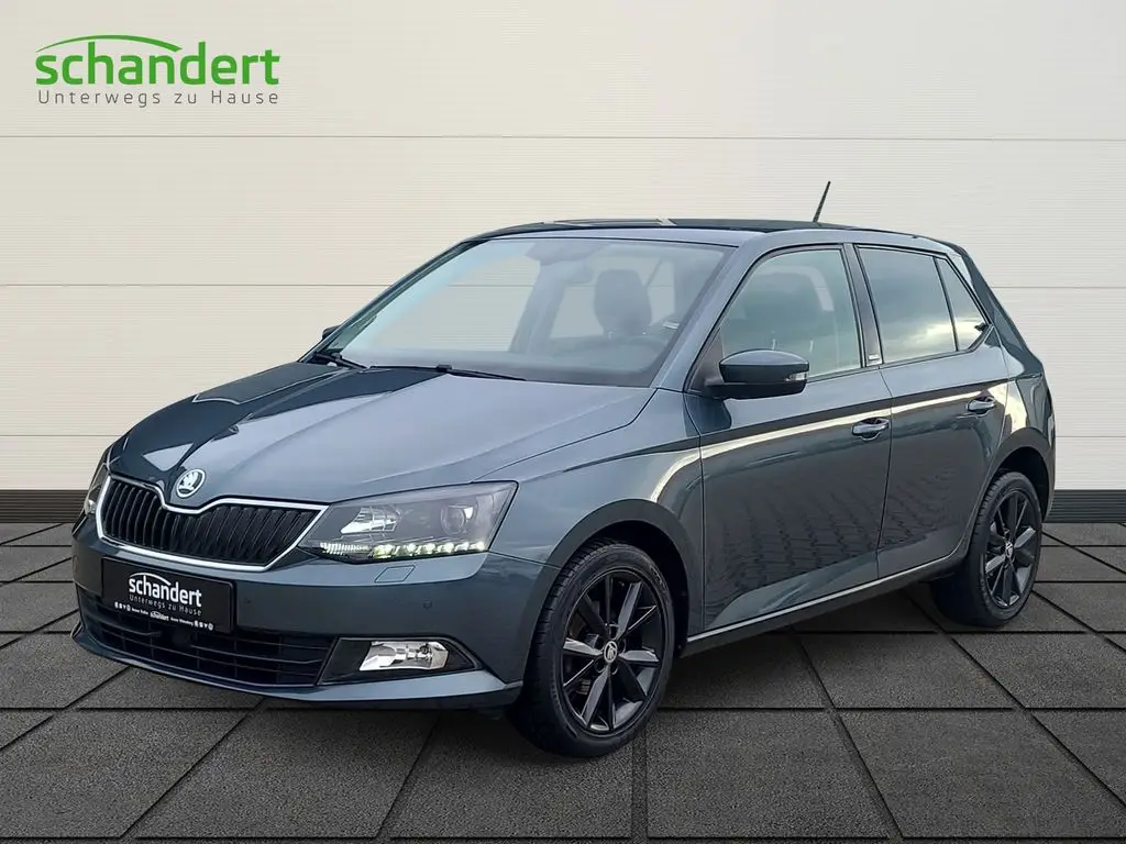 Photo 1 : Skoda Fabia 2016 Petrol