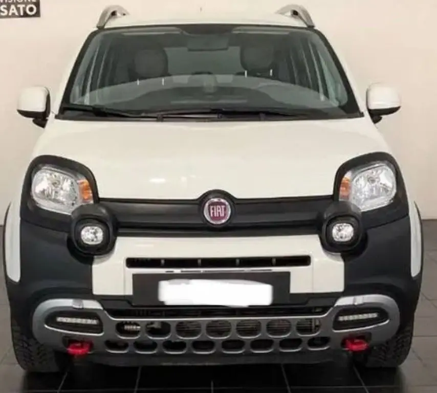 Photo 1 : Fiat Panda 2019 Petrol