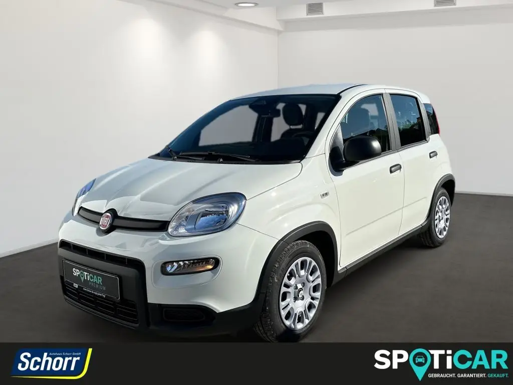 Photo 1 : Fiat Panda 2024 Essence