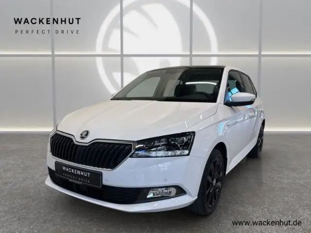 Photo 1 : Skoda Fabia 2020 Petrol