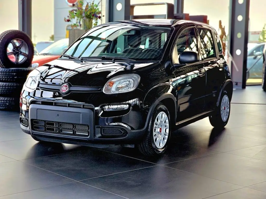 Photo 1 : Fiat Panda 2024 Petrol