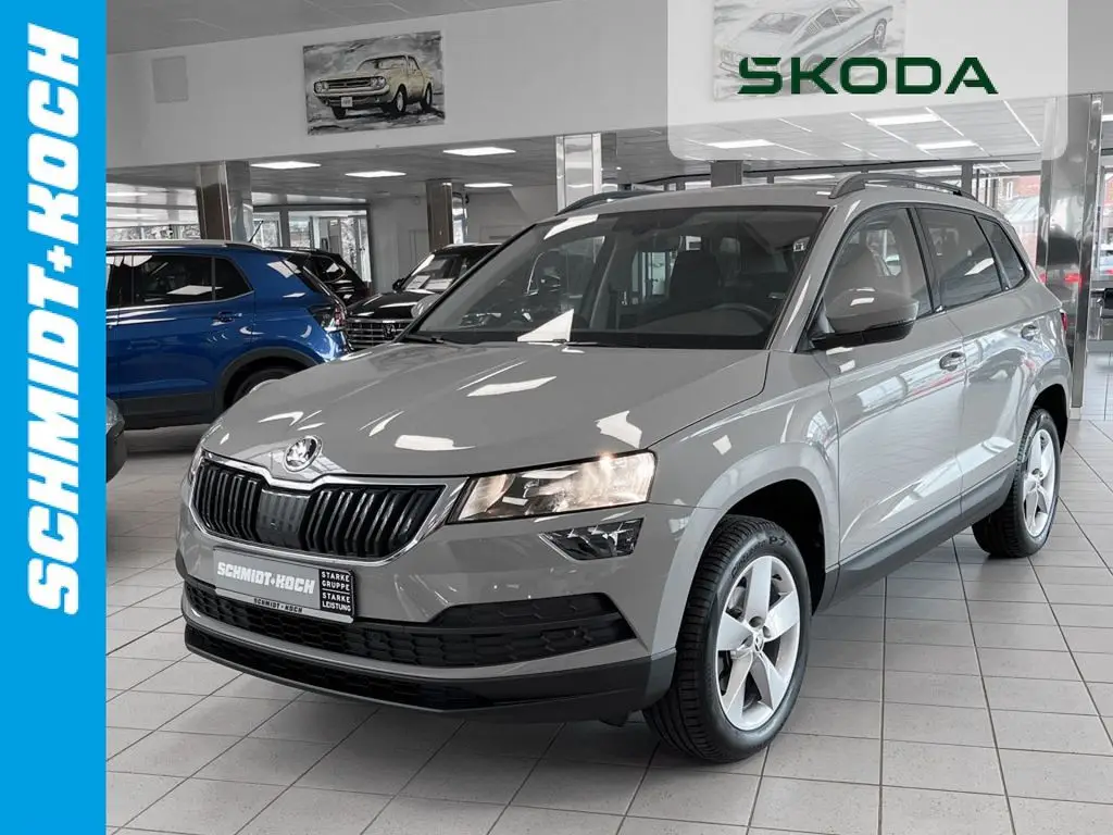 Photo 1 : Skoda Karoq 2020 Petrol