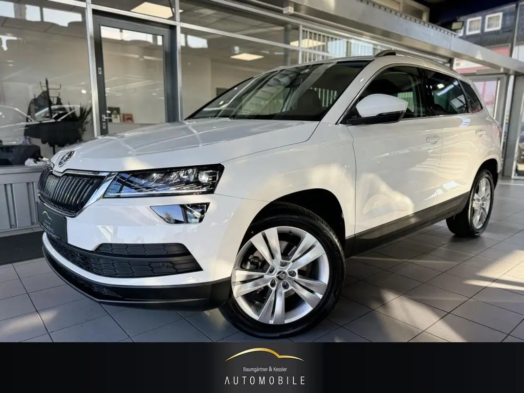 Photo 1 : Skoda Karoq 2019 Diesel