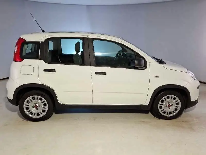 Photo 1 : Fiat Panda 2022 Hybrid