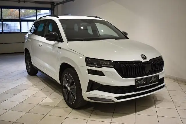 Photo 1 : Skoda Karoq 2023 Petrol