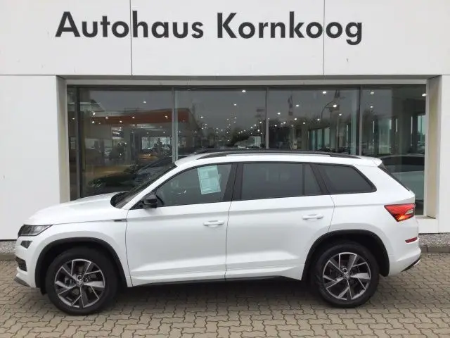 Photo 1 : Skoda Kodiaq 2021 Diesel