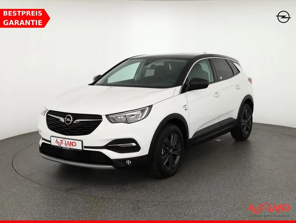 Photo 1 : Opel Grandland 2019 Petrol