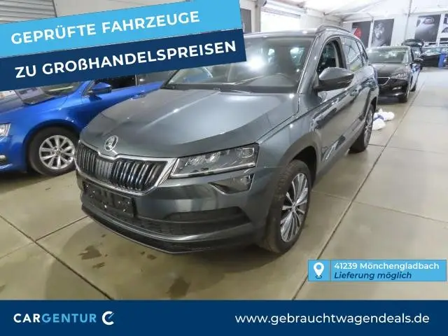 Photo 1 : Skoda Karoq 2019 Essence