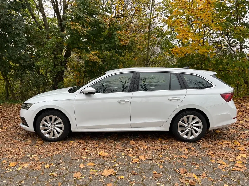 Photo 1 : Skoda Octavia 2024 Diesel